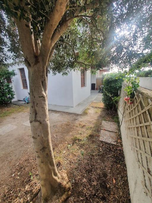 Ccc Holiday Properties Le Vele Ccc Montalto di Castro Exterior foto