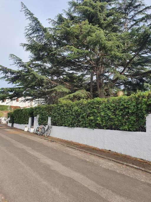 Ccc Holiday Properties Le Vele Ccc Montalto di Castro Exterior foto