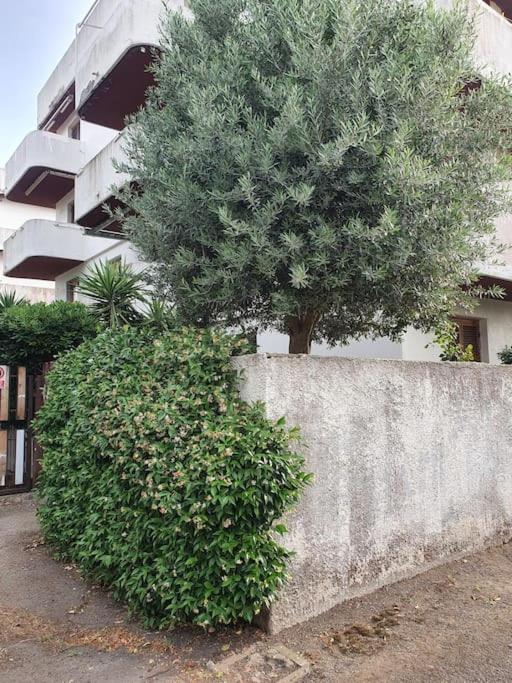 Ccc Holiday Properties Le Vele Ccc Montalto di Castro Exterior foto