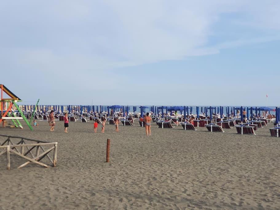Ccc Holiday Properties Le Vele Ccc Montalto di Castro Exterior foto