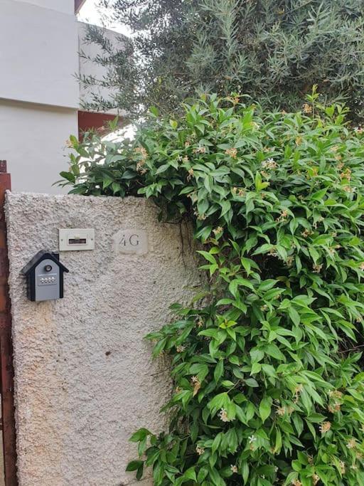 Ccc Holiday Properties Le Vele Ccc Montalto di Castro Exterior foto