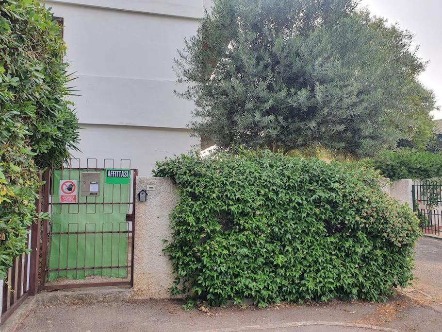 Ccc Holiday Properties Le Vele Ccc Montalto di Castro Exterior foto